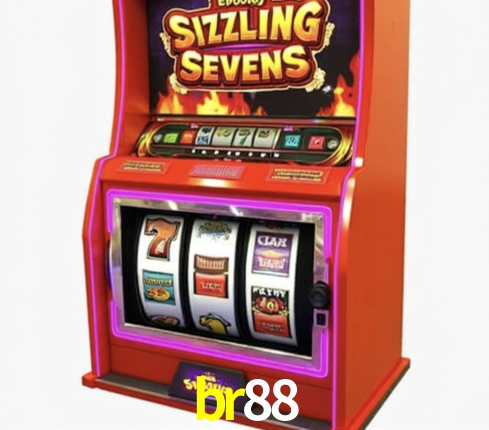 Security Systems br88
